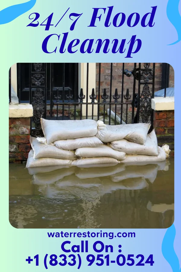 24/7 Flood Cleanup in Pleasant View, TN