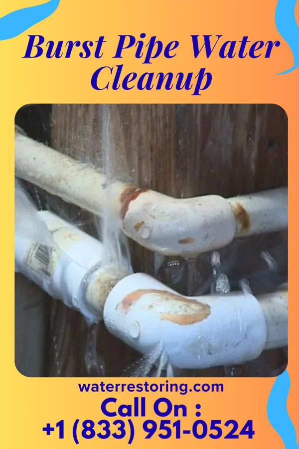 Burst Pipe Water Cleanup in Pleasant View, TN