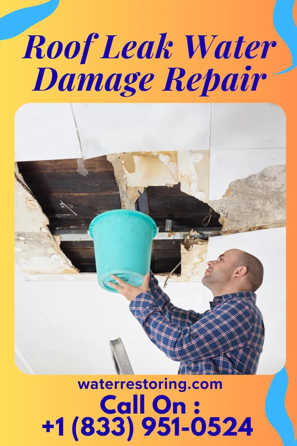 Roof Leak Water Damage Repair in Pleasant View, TN