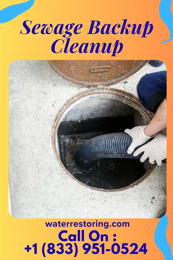 Sewage Backup Cleanup in Pleasant View, TN